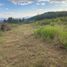  Land for sale in Gonzanama, Gonzanama, Gonzanama