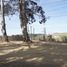  Land for sale in Paredones, Cardenal Caro, Paredones