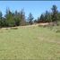  Terrain for sale in Paredones, Cardenal Caro, Paredones