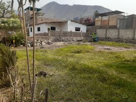  Terreno (Parcela) en venta en Lurigancho, Lima, Lurigancho