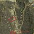  Land for sale in Chapala, Jalisco, Chapala, Jalisco