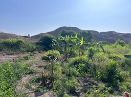  Land for sale in Pachacamac, Lima, Pachacamac