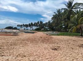  Grundstück zu verkaufen in El Nido, Mimaropa, El Nido