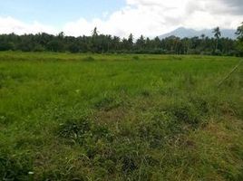  Land for sale in Liliw, Laguna, Liliw