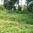  Land for sale in Liliw, Laguna, Liliw