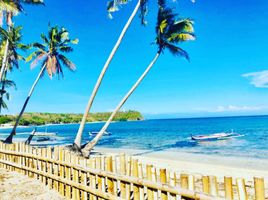  Grundstück zu verkaufen in Siquijor, Central Visayas, Siquijor, Siquijor