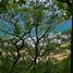  Land for sale in Dist Pochutla, Oaxaca, Dist Pochutla