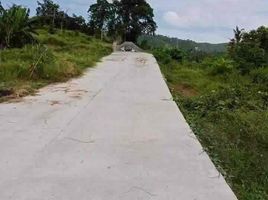  Terrain for sale in Carcar City, Cebu, Carcar City