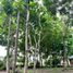  Land for sale in Negros Occidental, Negros Island Region, Bacolod City, Negros Occidental