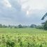  Terreno (Parcela) en venta en Naic, Calabarzon, Naic