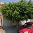 3 Habitación Casa en venta en Morelia, Michoacán, Morelia