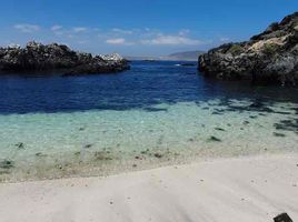 3 Bedroom Villa for rent in Chile, Caldera, Copiapo, Atacama, Chile