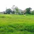  Terrain for sale in Cimanggis, Bogor, Cimanggis