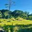  Land for sale in Balingasag, Misamis Oriental, Balingasag