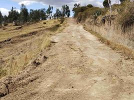  Land for sale in Pichincha, Tumbaco, Quito, Pichincha