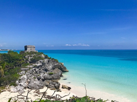  Grundstück zu verkaufen in Cozumel, Quintana Roo, Cozumel