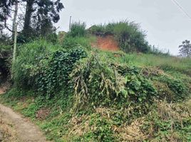 Terrain à vendre à Medellin, Antioquia, Medellin, Antioquia