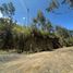  Land for sale in Cuenca, Azuay, Cuenca, Cuenca