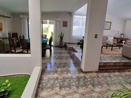 5 chambre Maison for rent in Arequipa, Cayma, Arequipa, Arequipa