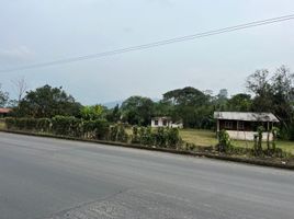  Land for sale in Santo Domingo De Los Colorados, Santo Domingo De Los Tsachilas, Santo Domingo De Los Colorados, Santo Domingo, Santo Domingo De Los Tsachilas