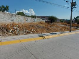  Terreno (Parcela) en venta en Leon, Guanajuato, Leon