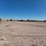  Land for rent in Juarez, Chihuahua, Juarez