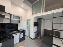 1 chambre Condominium for rent in Son Tra, Da Nang, Nai Hien Dong, Son Tra