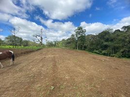  Terrain for sale in Pedro Vicente Maldonado, Pichincha, Pedro Vicente Maldonado, Pedro Vicente Maldonado