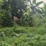  Terreno (Parcela) en venta en Quezon City, Metro Manila, Quezon City, Eastern District, Metro Manila