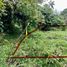  Land for sale in Cavite, Calabarzon, Silang, Cavite