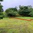  Land for sale in Cavite, Calabarzon, Silang, Cavite