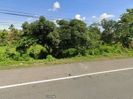  Land for sale in Ubay, Bohol, Ubay