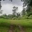  Land for sale in Subang, West Jawa, Sagalaherang, Subang