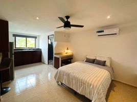 Appartement 1 chambre à louer à Merida, Yucatan, Merida