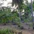  Land for sale in Puerto Princesa City, Mimaropa, Puerto Princesa City, Palawan, Mimaropa