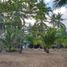  Land for sale in Puerto Princesa City, Mimaropa, Puerto Princesa City, Palawan, Mimaropa