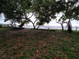  Land for sale in Puerto Princesa City, Mimaropa, Puerto Princesa City, Palawan, Mimaropa