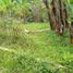  Land for sale in Bogor, West Jawa, Bogor Barat, Bogor