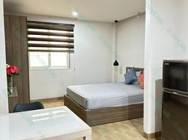  Apartment for rent in My An, Da Nang, My An