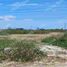  Land for sale in Samborondon, Guayas, Samborondon, Samborondon