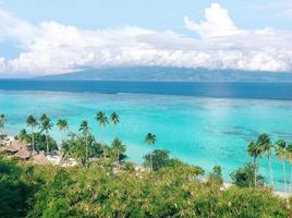  Grundstück zu verkaufen in Nasugbu, Calabarzon, Nasugbu