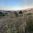  Land for sale in Valle De Juarez, Jalisco, Valle De Juarez