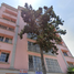 3 Habitación Apartamento en venta en Benito Juarez, Ciudad de México, Benito Juarez, Ciudad de México, México