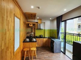 2 Bedroom Apartment for rent in Ngu Hanh Son, Da Nang, My An, Ngu Hanh Son