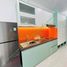 1 Bedroom Apartment for rent in My An, Da Nang, My An, Ngu Hanh Son