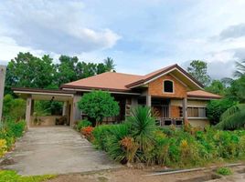 2 Schlafzimmer Villa zu verkaufen in Cebu, Central Visayas, San Francisco