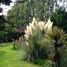 6 Habitación Casa en venta en Santiago, Buin, Maipo, Santiago