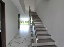 3 Bedroom House for rent in Guayas, Samborondon, Samborondon, Guayas