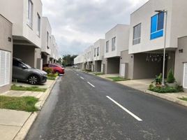 3 Habitación Apartamento en alquiler en Valle Del Cauca, Jamundi, Valle Del Cauca