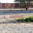  Terreno (Parcela) en venta en Piura, Piura, Piura, Piura, Piura